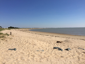 plage de la court